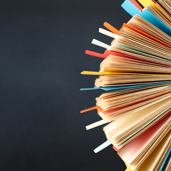 What is it that really makes a difference to the assessment of the final lending decision?